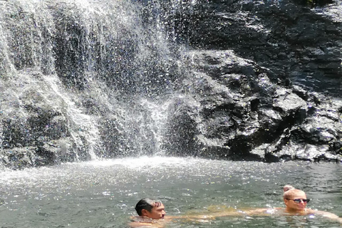 Mauritius: Wycieczka z przewodnikiem po wodospadzie Tamarind z pływaniem i lunchem