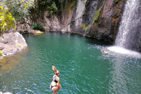 Mauritius: Tamarind Falls guidad vandring med simning och lunch