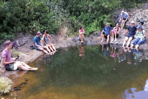 Mauritius: Wycieczka z przewodnikiem po wodospadzie Tamarind z pływaniem i lunchem