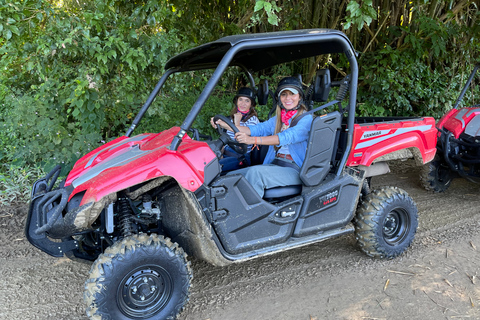 Carabalí Rainforest Park: 2-Hour UTV Adventure TourUTV Tour: Driver and 4 Passengers