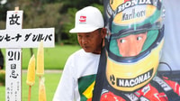 Sao Paulo, Ayrton Senna Highlights Tour - Housity