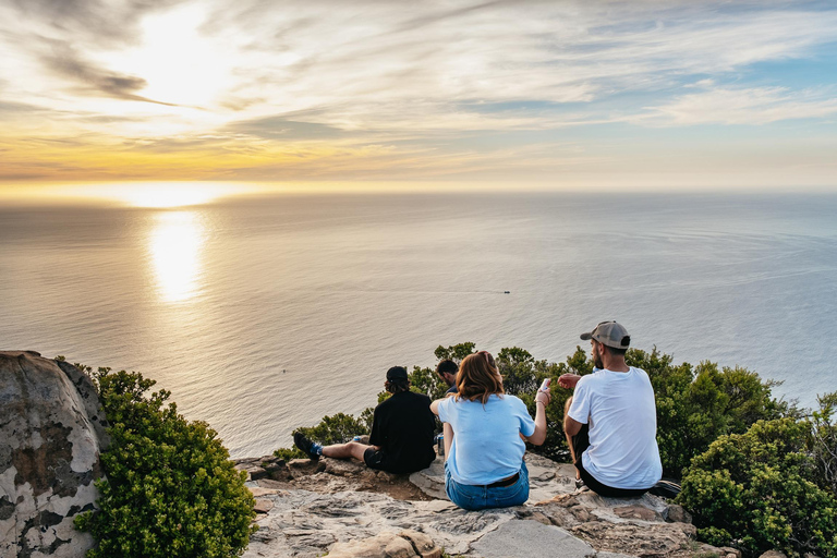 Cape Town: Lion's Head Sunrise or Sunset Hike