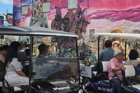 Miami: recorrido en carrito de golf por la cervecería Wynwood Graffiti