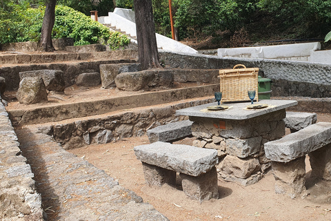 Depuis Albufeira : excursion au château de Silves et à Monchique