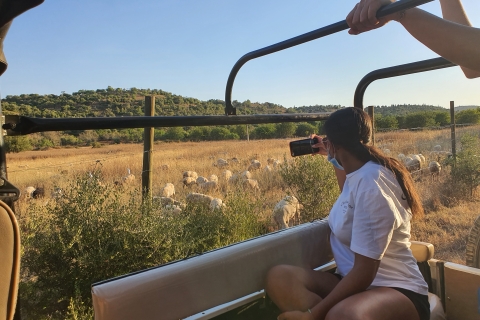 Albufeira: excursión de safari en las montañas del Algarve