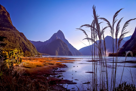 Milford Sound Day Tour From Te Anau