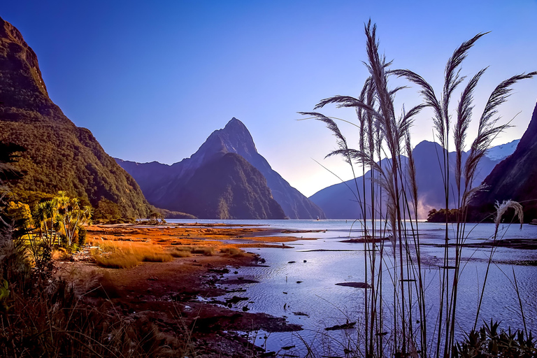 Milford Sound Day Tour From Te Anau