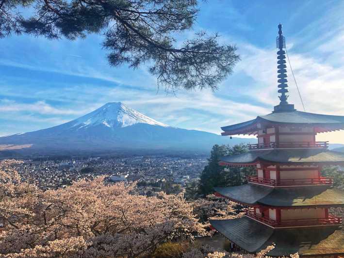Da Tokyo: viaggio privato al Monte Fuji e al Lago Kawaguchi