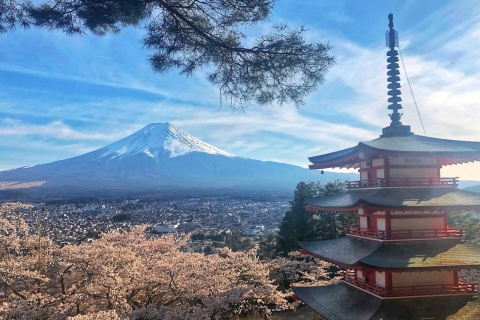 De Tokyo: voyage privé au mont Fuji et au lac Kawaguchi