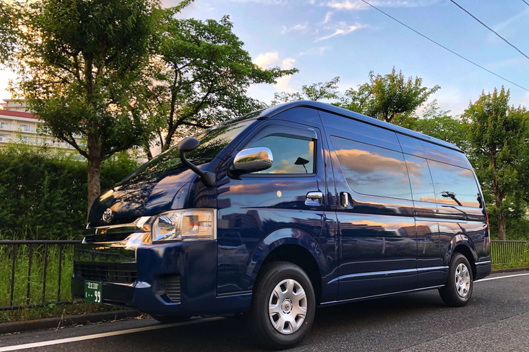 De Tokyo: excursion privée d'une journée à Hakone et Owakudani