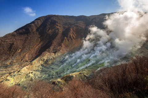 De Tokyo: excursion privée d'une journée à Hakone et Owakudani