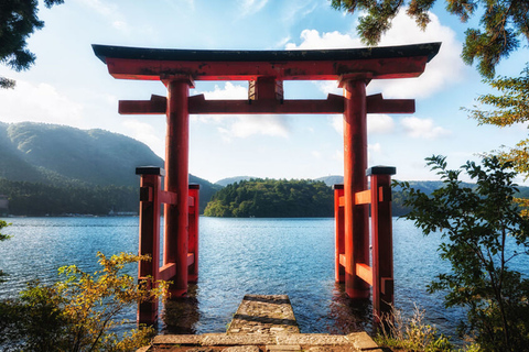 De Tokyo: excursion privée d'une journée à Hakone et Owakudani