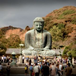 From Tokyo: Kamakura Private Customize Tour by Luxury Van