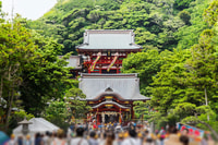 De Tokyo, Kamakura Private Customize Tour by Luxury Van - Hizvo