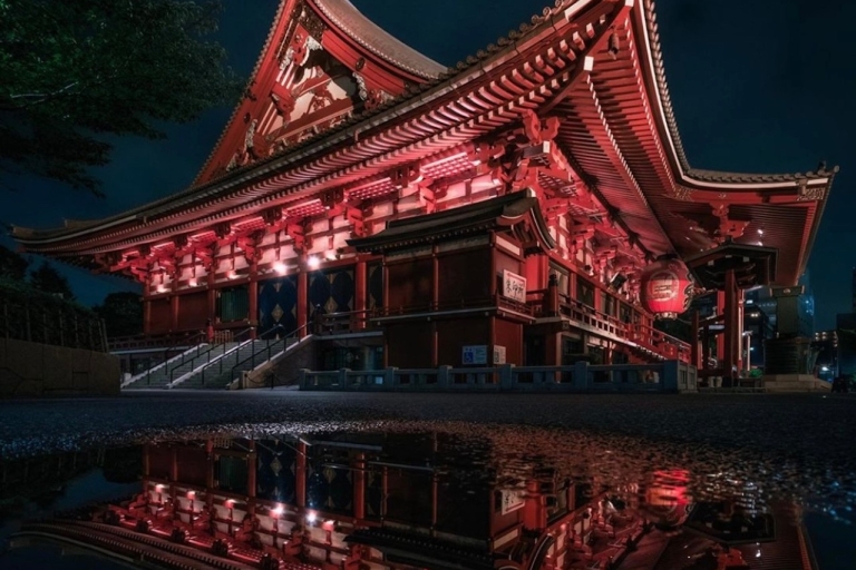 Tokyo private customize tour with luxury van（1-9pax.） Tokyo: Private Customizable Tour with Transfer