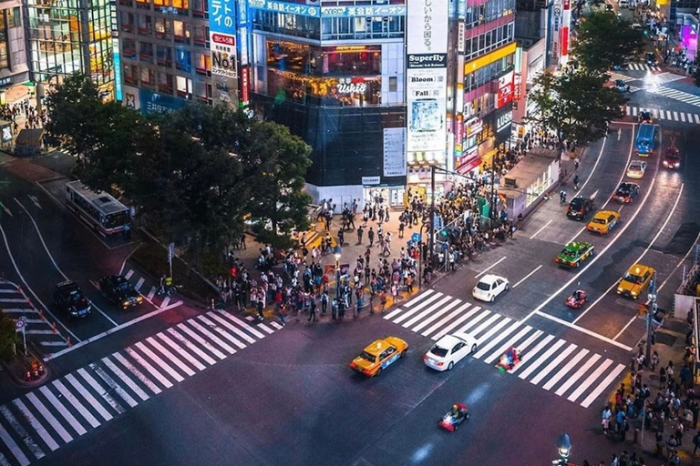 Tokyo: Privat skräddarsydd tur med transfer