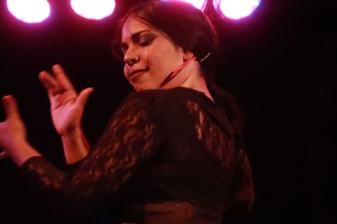 Jerez de la Frontera: Espectáculo Flamenco y TapasEspectáculo Flamenco + Menú Flamenco