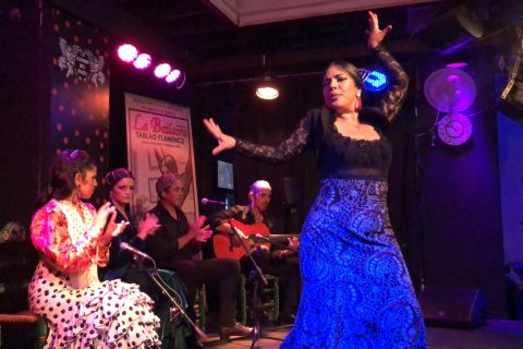 Jerez de la Frontera: spettacolo di flamenco e tapas