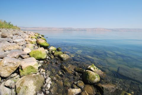 From Haifa: Guided Day Trip to Nazareth and Sea of Galilee
