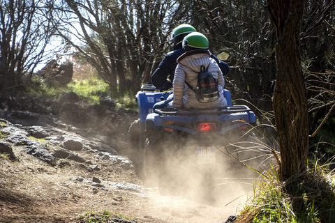 Nicolosi: Mt. Etna Guided Quad Tour Adventure