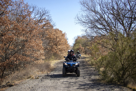 Nicolosi: Mt. Etna Guided Quad Tour Adventure