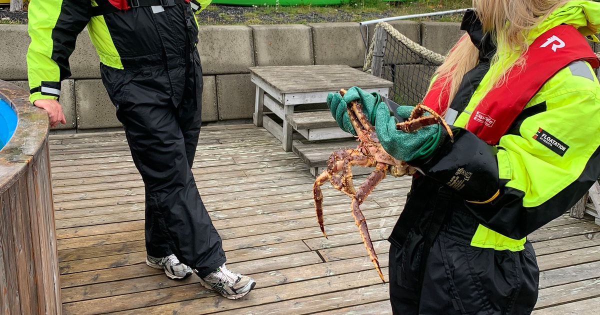 Testing Crab Skarsvåg: Aquarium Visit and King Crab Tasting | GetYourGuide