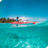 St. Petersburg, FL, Weedon Island Kayak Tour - Housity