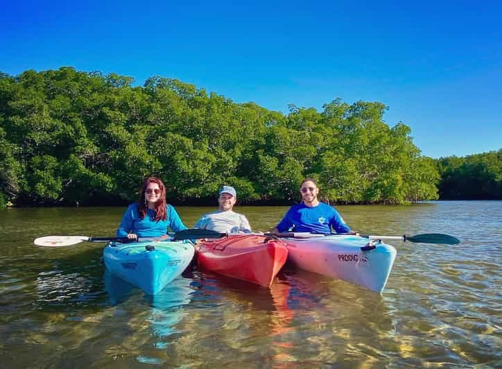 St. Petersburg, FL Weedon Island Kayak Tour GetYourGuide