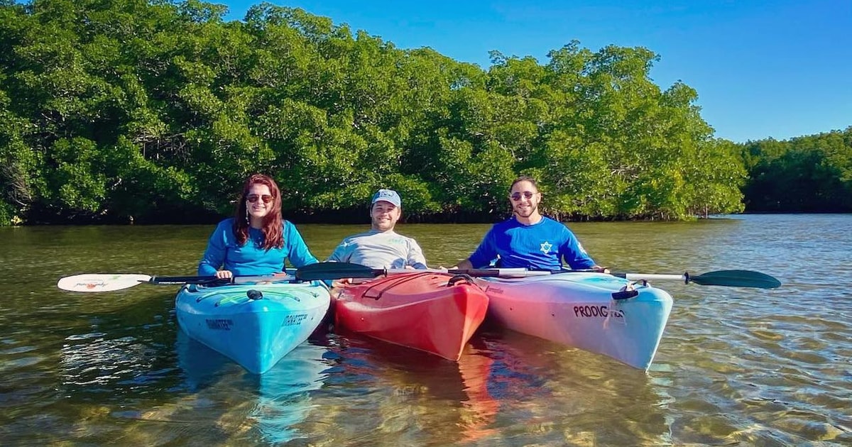 St. Petersburg, FL: Weedon Island Kayak Tour | GetYourGuide