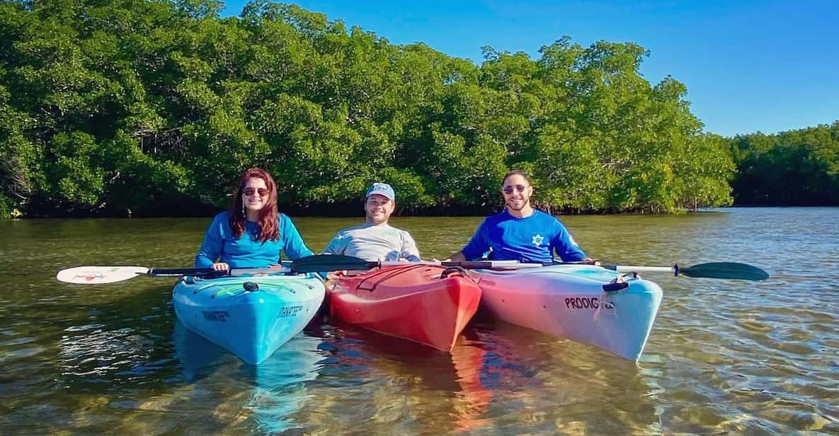 St. Petersburg, FL Weedon Island Kayak Tour GetYourGuide