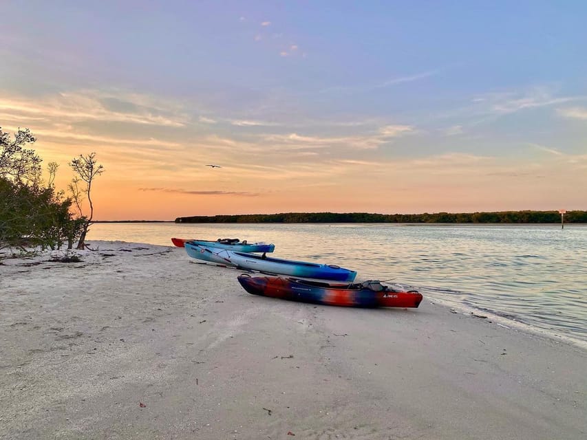 St. Petersburg, FL Weedon Island Kayak Tour GetYourGuide