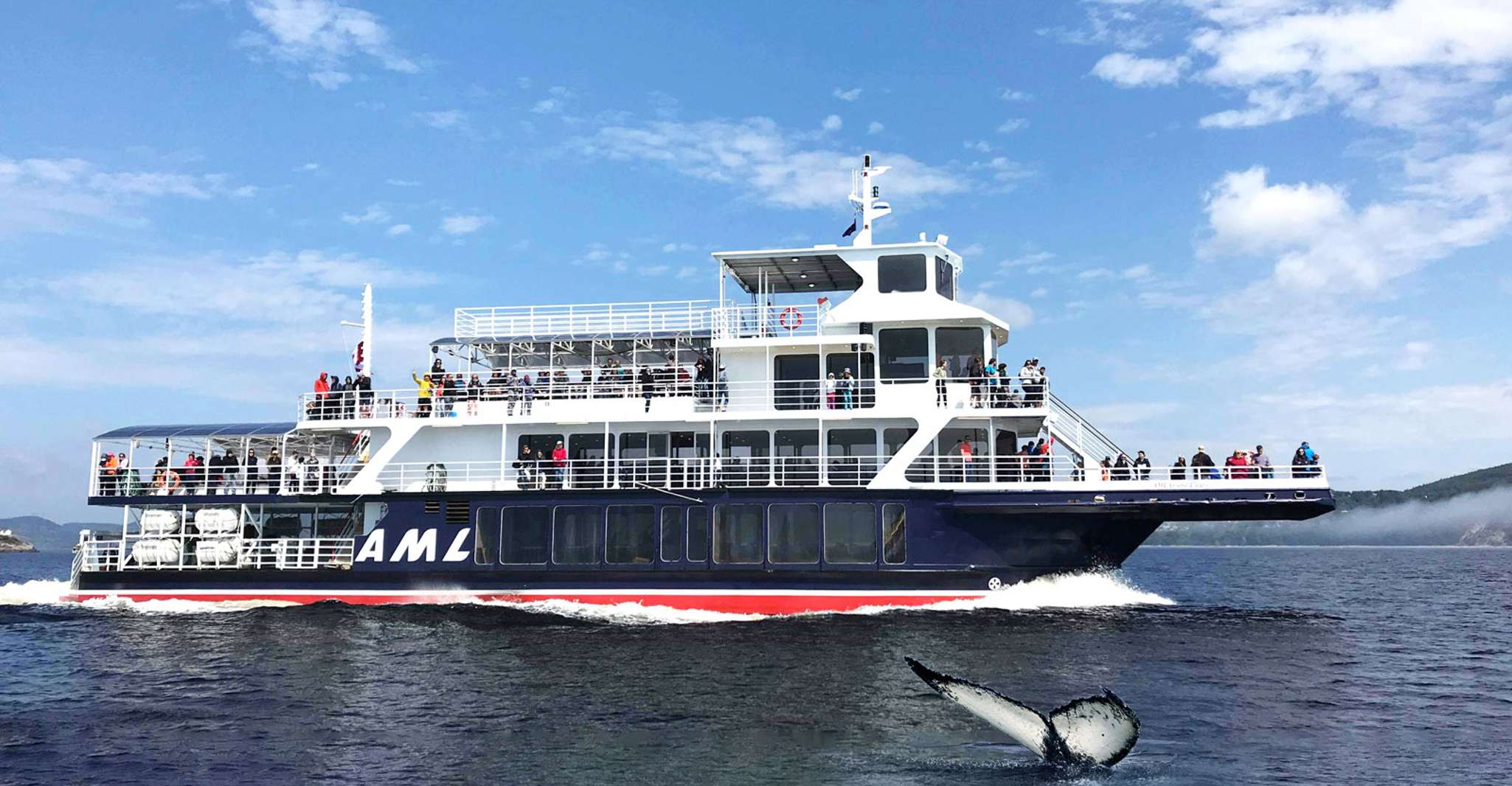 Tadoussac or Baie-Sainte-Catherine, Whale Watching Boat Tour - Housity