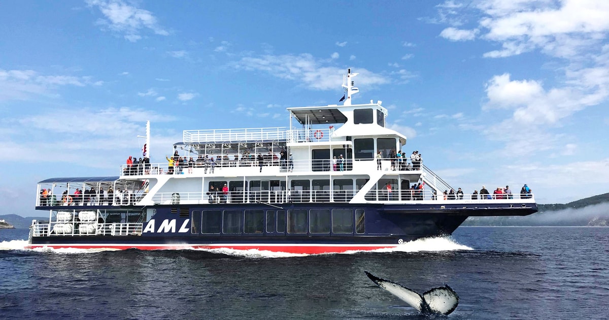 Tadoussac ou BaieSainteCatherine observation baleines GetYourGuide