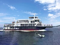 Tadoussac of Baie-Sainte-Catherine, Whale Watch Boat Tour - Housity