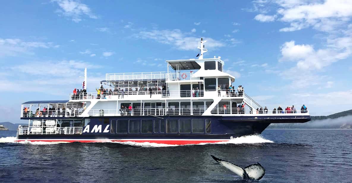 Tadoussac ou BaieSainteCatherine observation baleines GetYourGuide