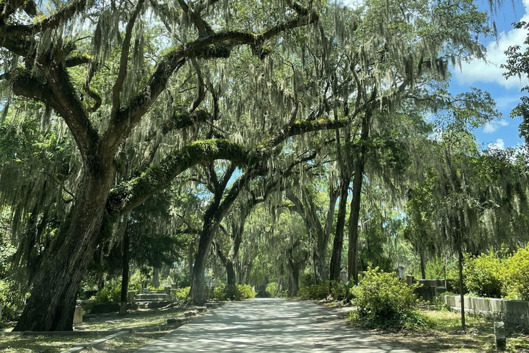 Tombs of Savannah: Bonaventure Cemetery Experience Savannah: Bonaventure Marble Memorials Walking Tour