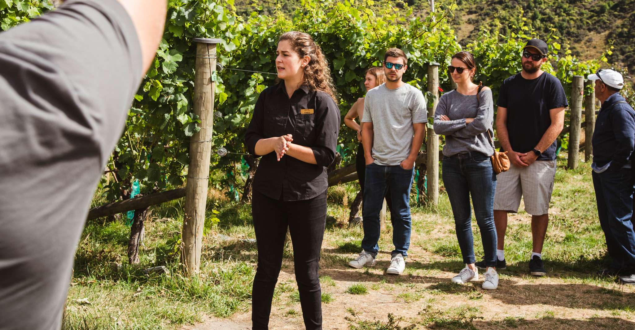Queenstown, Dégustation de vins - Hizvo