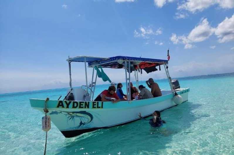 Cozumel: Island Snorkeling and Instagram Tour by Speedboat | GetYourGuide