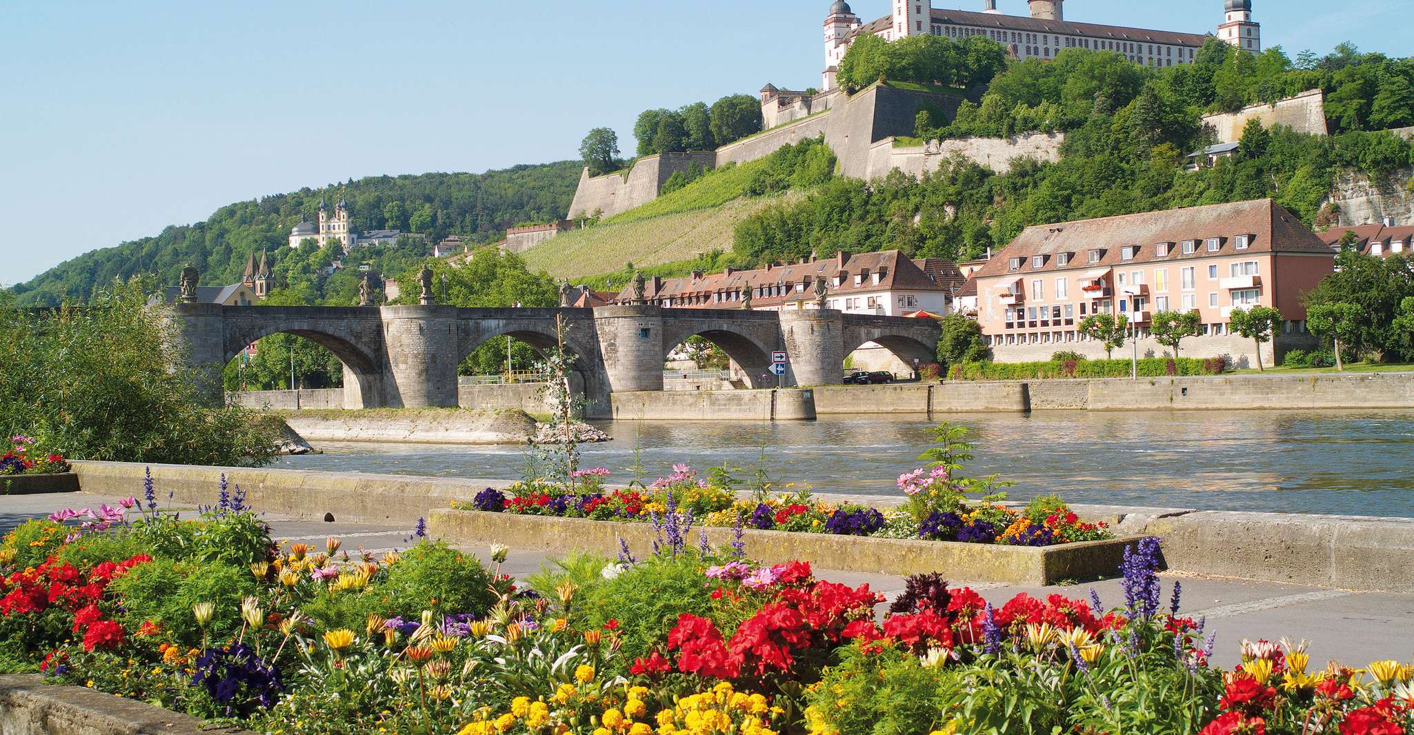 Würzburg, Guided Walking Tour with Franconian Wine - Housity