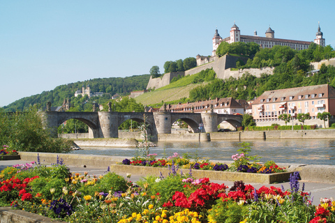 Würzburg: visita guiada a pie con vino de Franconia