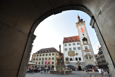 Würzburg: visita guiada a pie con vino de Franconia