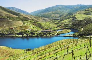 Douro-Tal: Tagestour mit Weinverkostung und Bootsfahrt