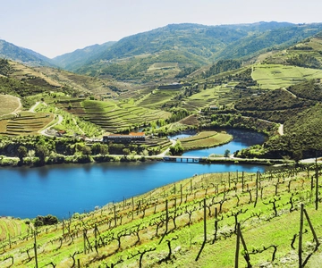 Porto: Douro Wine Tour with Lunch and River Cruise
