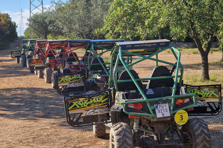 Fažana: Guided Buggy Tour in the Heart of Istria