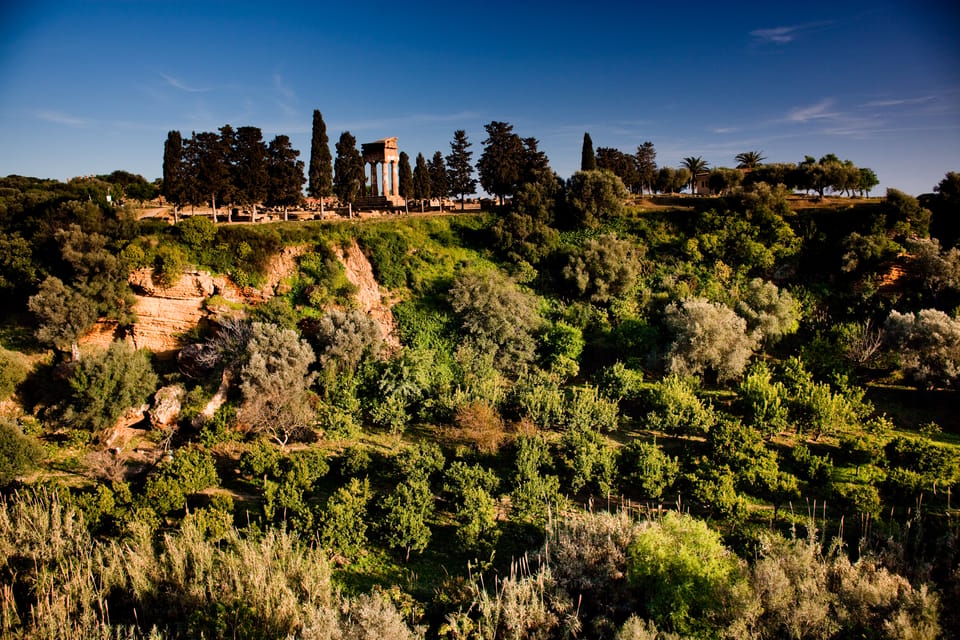 Citrus trees and stone irrigation channels in a green garden below ancient ruins