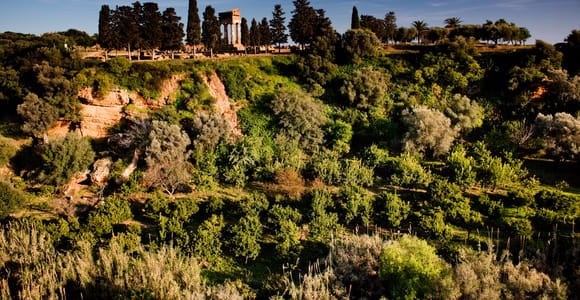 Valley of the Temples: Kolymbethra Garden Entry Ticket