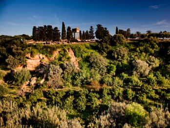 Valley of the Temples: Kolymbethra Garden Entry Ticket