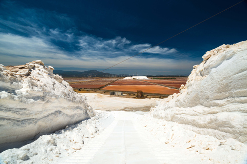 Cagliari: Conti Vecchi Salt Flats Train and Tour Cagliari: Conti Vecchi Salt Flats Train and Walking Tour