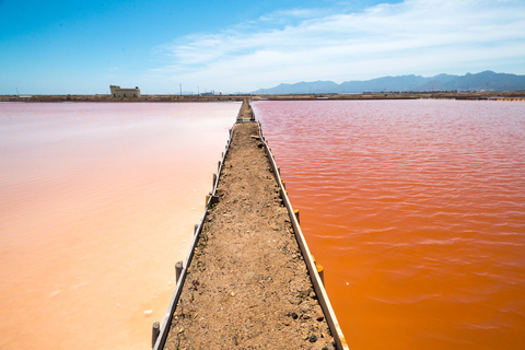 Cagliari: Conti Vecchi Salt Flats Train and Tour Cagliari: Conti Vecchi Salt Flats Train and Walking Tour
