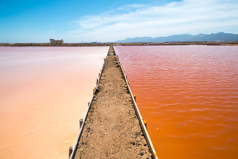 Cagliari: Conti Vecchi Salt Flats Train and Tour Cagliari: Conti Vecchi Salt Flats Train and Walking Tour